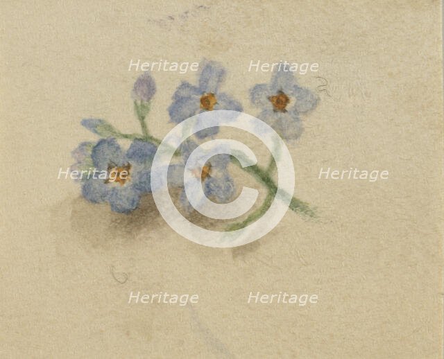 (Untitled), 1874. Creator: Mary Vaux Walcott.