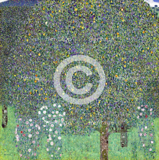 Rose Bushes under the Trees, c. 1905. Artist: Klimt, Gustav (1862-1918)