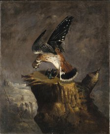 Vulture and Its Prey, 1844. Creator: Robert Seldon Duncanson.