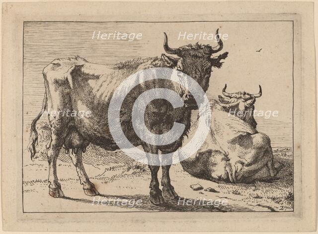 A Cow Standing and Another Lying Down, 1650. Creator: Paulus Potter.