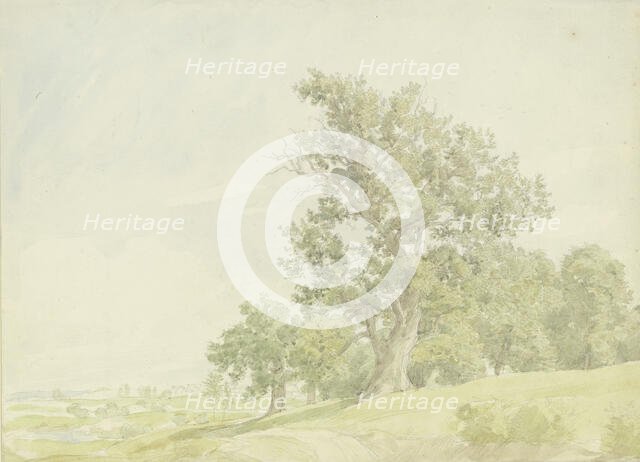 Forest edge at the slope, c1850-1900. Creator: Peter Becker.