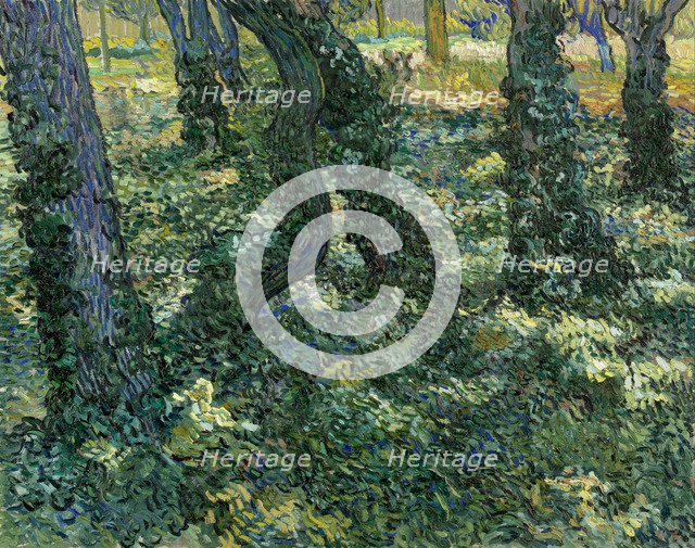 Undergrowth, 1889. Artist: Gogh, Vincent, van (1853-1890)