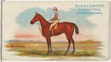Montrose, from The World's Racers series (N32) for Allen & Ginter Cigarettes, 1888. Creator: Allen & Ginter.