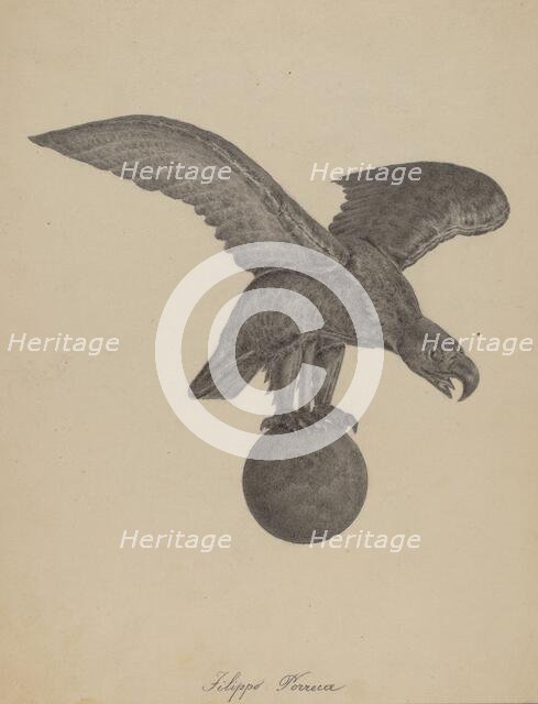 Eagle, 1935/1942. Creator: Filippo Porreca.