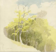 Forest at a slope, 1858. Creator: Carl Theodor Reiffenstein.