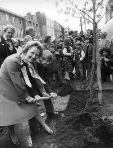 Margaret Thatcher planting a tree outside her house in Chelsea, 9th November 1977. Artist: Unknown