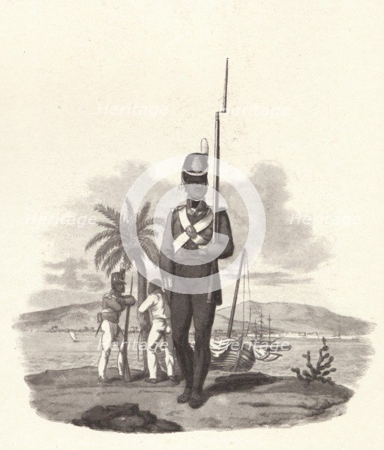 'A Private of the 5th West India Regiment', c1812 (1909). Artist: Joseph Constantine Stadler.