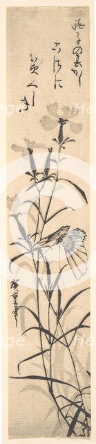 Black and White Print of Butterfly and Flower (a Pink). Creator: Ando Hiroshige.