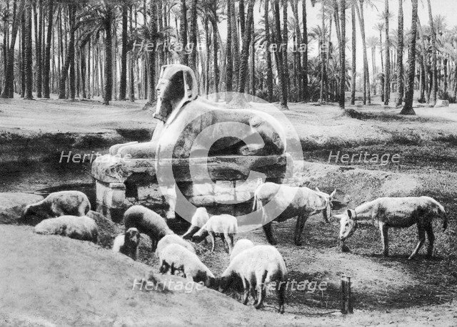 The Alabaster Sphinx, Cairo, Egypt, c1920s. Artist: Unknown