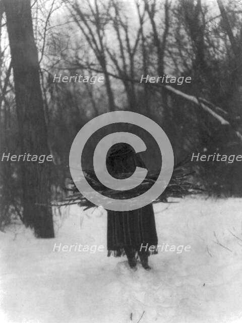 The wood gatherer-Sioux, c1908. Creator: Edward Sheriff Curtis.