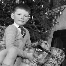 Child, dog and Christmas tree, December 1960. Artist: John Gay