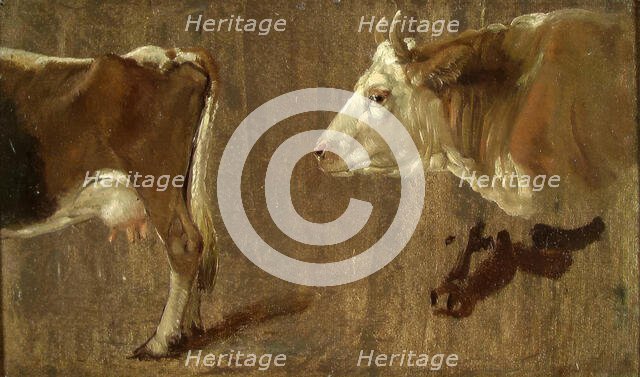 Study of two cows, c1810-1850. Creator: Johan Christian Dahl.