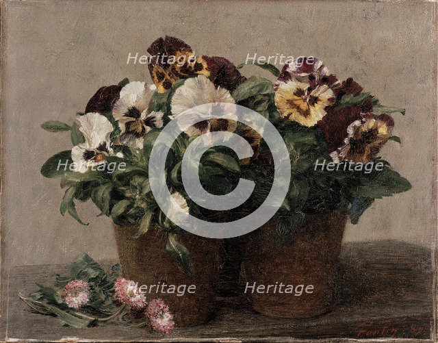 Still Life: Pansies and Daisies, 1880. Artist: Henri Fantin-Latour.