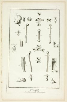 Design: Mannequin Parts, from Encyclopédie, 1762/77. Creator: A. J. Defehrt.