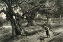 'At Burnham Beeches', c1870.