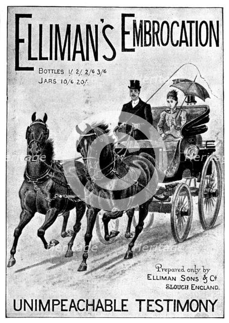 Advertisement for Elliman's Embrocation, 1898. Creator: Unknown.