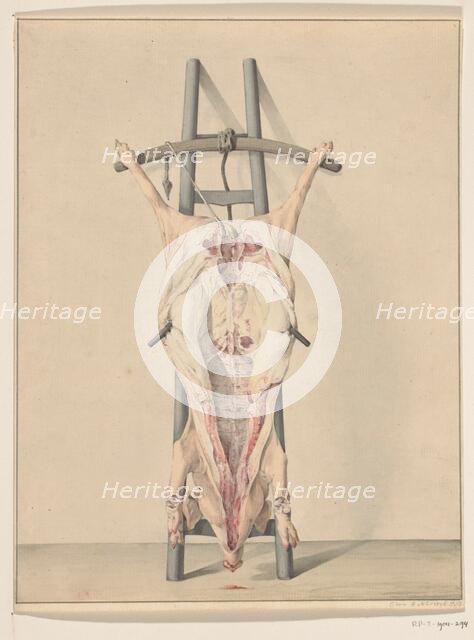 Slaughtered pig, 1796. Creator: Jean Bernard.
