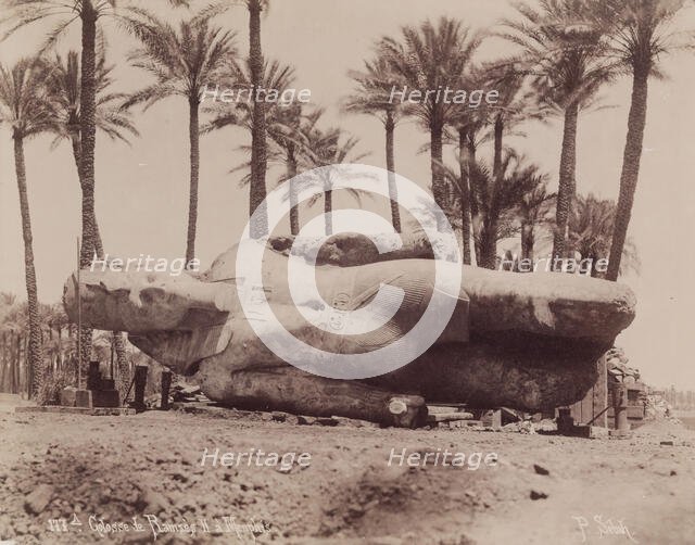 Statue of Ramesses II Resting on Its Side at Memphis, 19th century. Creator: Pascal Sébah.