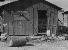 Slums of Brawley, Imperial Valley, California, 1936. Creator: Dorothea Lange.