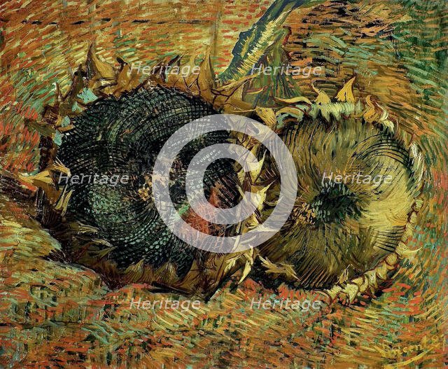 Two cutted sunflowers, 1887. Creator: Gogh, Vincent, van (1853-1890).