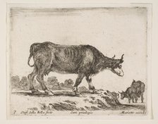 Plate 7: ox, from 'Various animals' (Diversi animali), ca. 1641. Creator: Stefano della Bella.