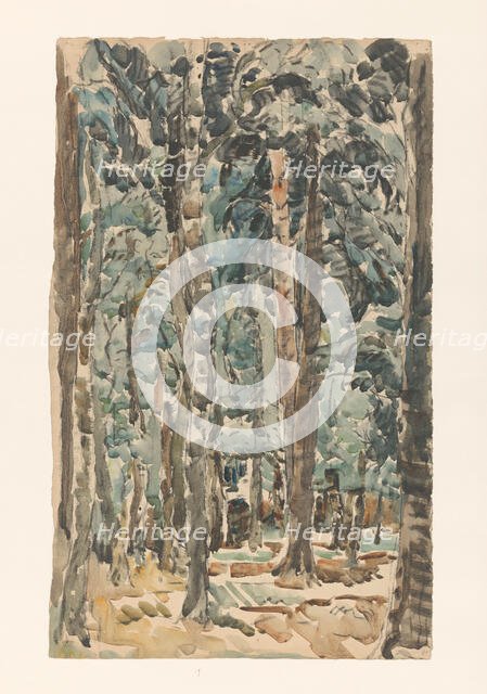 Forest view, 1873-1932. Creator: Willem Steenhoff.