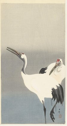 Two cranes, 1920-1930. Creator: Ohara, Koson (1877-1945).