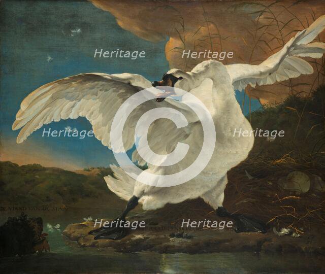 The Threatened Swan, c.1650. Creator: Jan Asselijin.