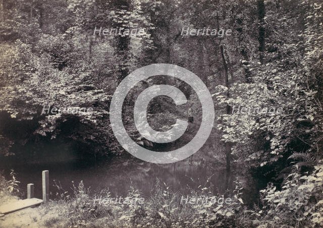 Colwyn Bay. The Pool in the Wood, 1870s. Creator: Francis Bedford.