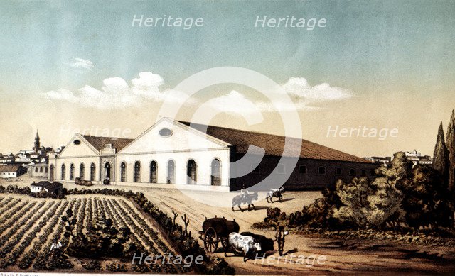 Exterior view of the building and vineyards of Bodegas of Jerez de la Frontera, lithography from …
