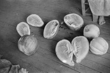 Melons on Frank Tengle's porch. Hale County, Alabama, 1936. Creator: Walker Evans.