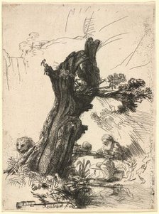 Saint Jerome beside a Pollard Willow, 1648. Creator: Rembrandt Harmensz van Rijn.