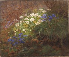 Anemones, 1867. Creator: Anthonie Leonore Christensen.