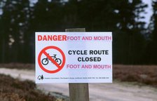 No cycling-Foot and Mouth closure 2001. New Forest. Artist: Unknown.