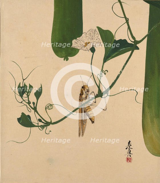 Lacquer Paintings of Various Subjects: Grasshopper on Gourd Vine, 1882. Creator: Shibata Zeshin.