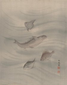 Fishes, ca. 1890-92. Creator: Seki Shuko.