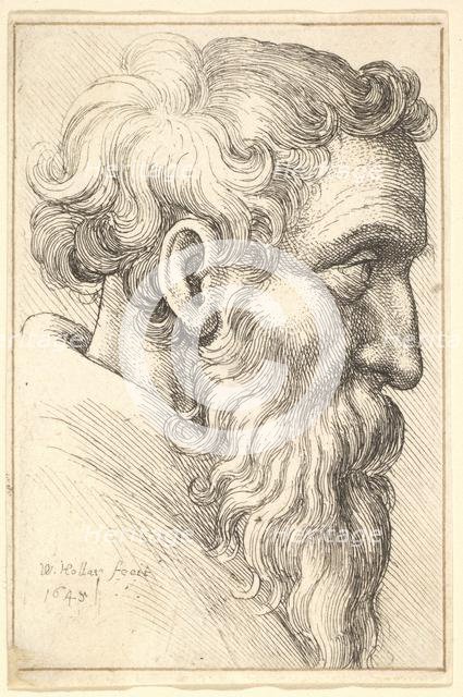Bearded old man in profile to right, 1645. Creator: Wenceslaus Hollar.