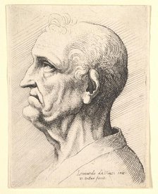 Head of an old man with tufts of curly hair around ear in profile to left, 1644-52. Creator: Wenceslaus Hollar.
