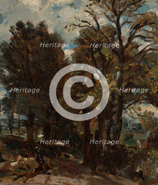Fen Lane, East Bergholt, ca. 1811. Creator: John Constable.