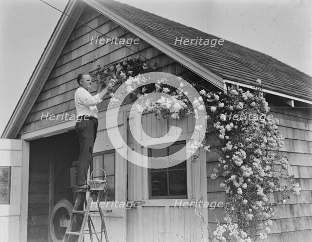 Murray, between c1915 and c1920. Creator: Bain News Service.