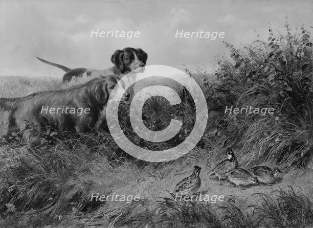 On Point, 1874. Creator: Arthur Fitzwilliam Tait.