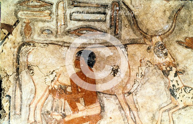 Wall painting from the tomb of Methethi, Saqqara, Ancient Egypt, Old Kingdom, c2371-2350 BC. Artist: Unknown