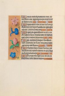 Hours of Queen Isabella the Catholic, Queen of Spain: Fol. 203v, c. 1500. Creator: Master of the First Prayerbook of Maximillian (Flemish, c. 1444-1519); Associates, and.