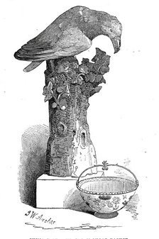 China bird, and Japan sugar basket, 1845. Creator: John Wykeham Archer.