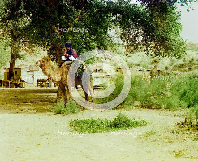 Man on camel, buildings in background, between 1905 and 1915. Creator: Sergey Mikhaylovich Prokudin-Gorsky.