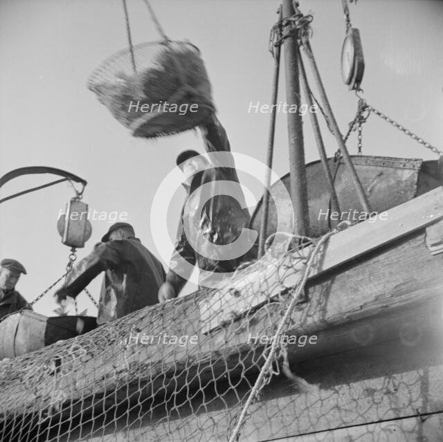 Dock stevedores at the Fulton fish market sending up baskets of fish..., New York, 1943. Creator: Gordon Parks.
