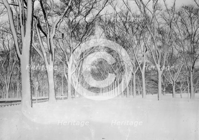 The Mall, Central Park, between c1910 and c1915. Creator: Bain News Service.