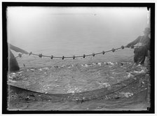 Net fishing, between 1909 and 1923. Creator: Harris & Ewing.