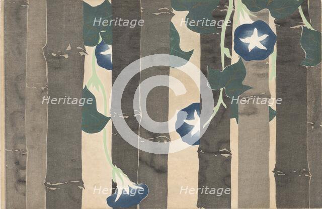 Asagao (Morning Glories). From the series "A World of Things (Momoyogusa)", 1909-1910. Creator: Sekka, Kamisaka (1866-1942).