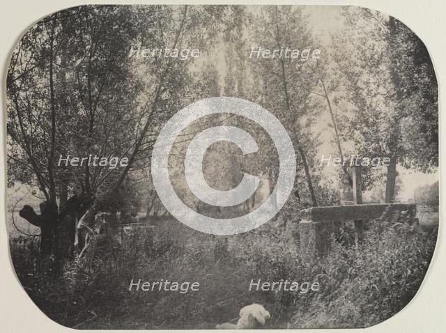 Untitled (Landscape with Dog), c. 1910. Creator: Unidentified Photographer.